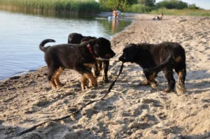 Badeausflug1_1280_850_1280_850