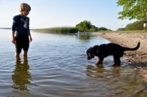 Badeausflug3_1280_850_1280_850