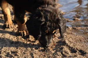 Badeausflug4_1280_850_1280_850