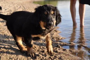 Badeausflug5_1280_850_1280_850