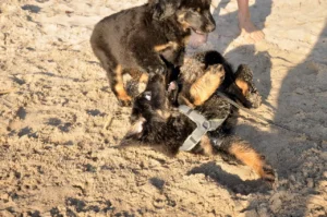 Badeausflug6_1280_850_1280_850