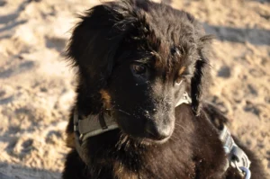 Badeausflug7_1280_850_1280_850