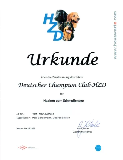 Deutscher Champion Club HZD_1653_2339