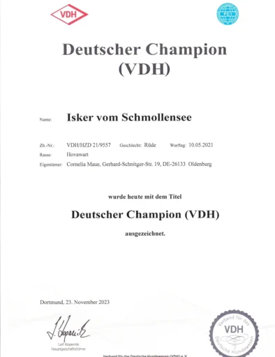 Deutscher Champion VDH_1080_1526