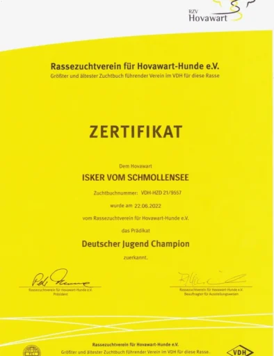 Deutscher Jugend Champion RZV_903_1280