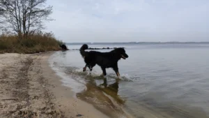 IMG_20191101_124021_1_4000_2250