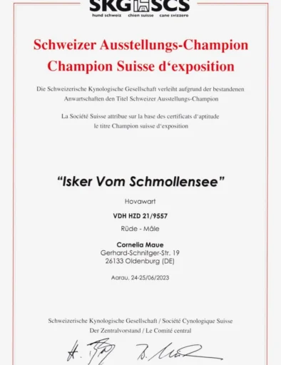 Schweizer Ausstellungs-Champion 2023_886_1280