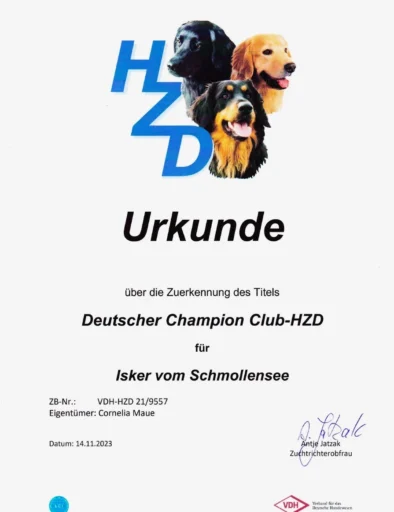 Urkunde HZD Champion_895_1280