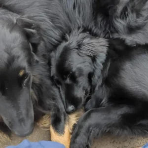 Schmusen ist wichtig
